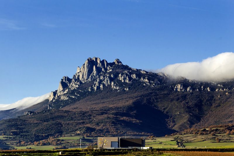 阿尔托斯酒庄Altos de Rioja